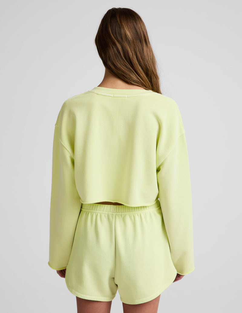 Fade Out Cropped Long Sleeve