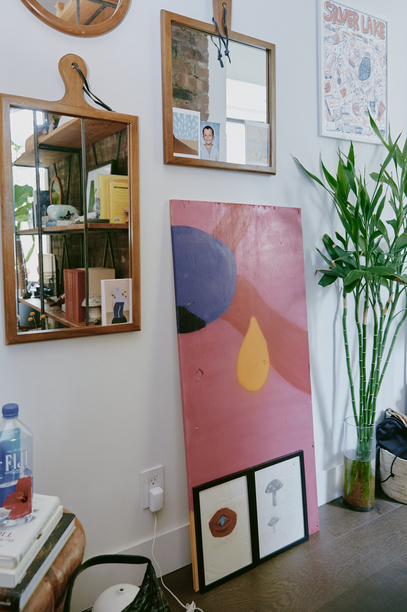 Artwork, mirror, and plant in Rachel's home