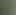 Olive Tint
